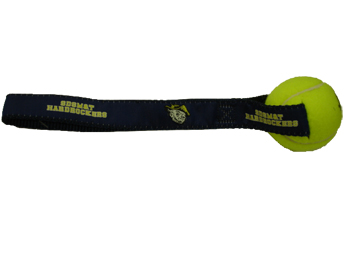 Dog Toy Sdsm&T