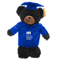 Spirit Teddy Bear Graduation Gown