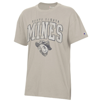 Champion Ladies Ss Tee F24075 Oversized
