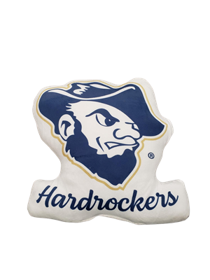 Image of Sewing Concepts Pillow F25130 Grubby